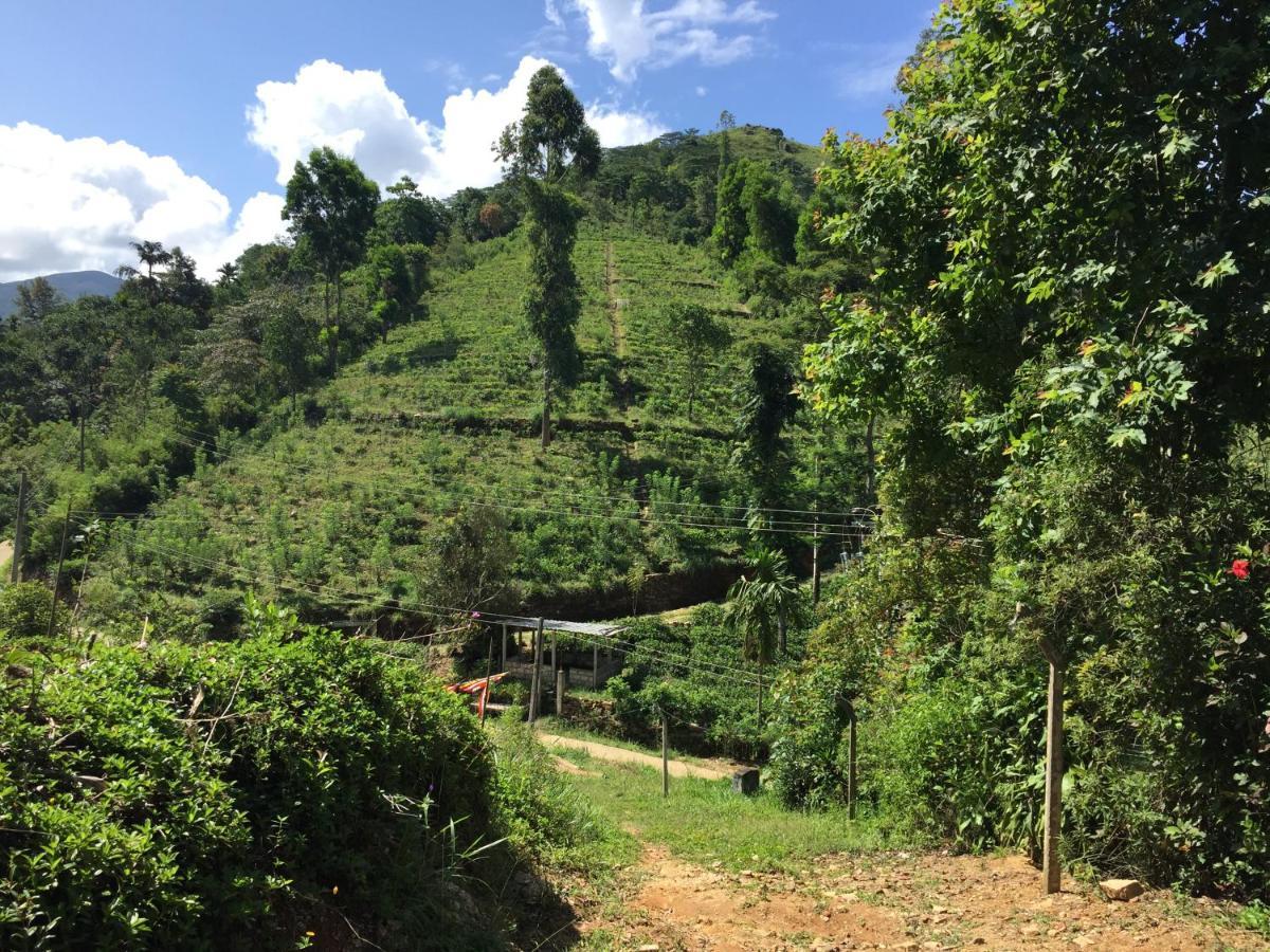 Rohana Estate Lodging & Camping Kandy Esterno foto
