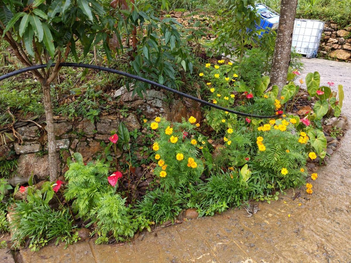 Rohana Estate Lodging & Camping Kandy Esterno foto