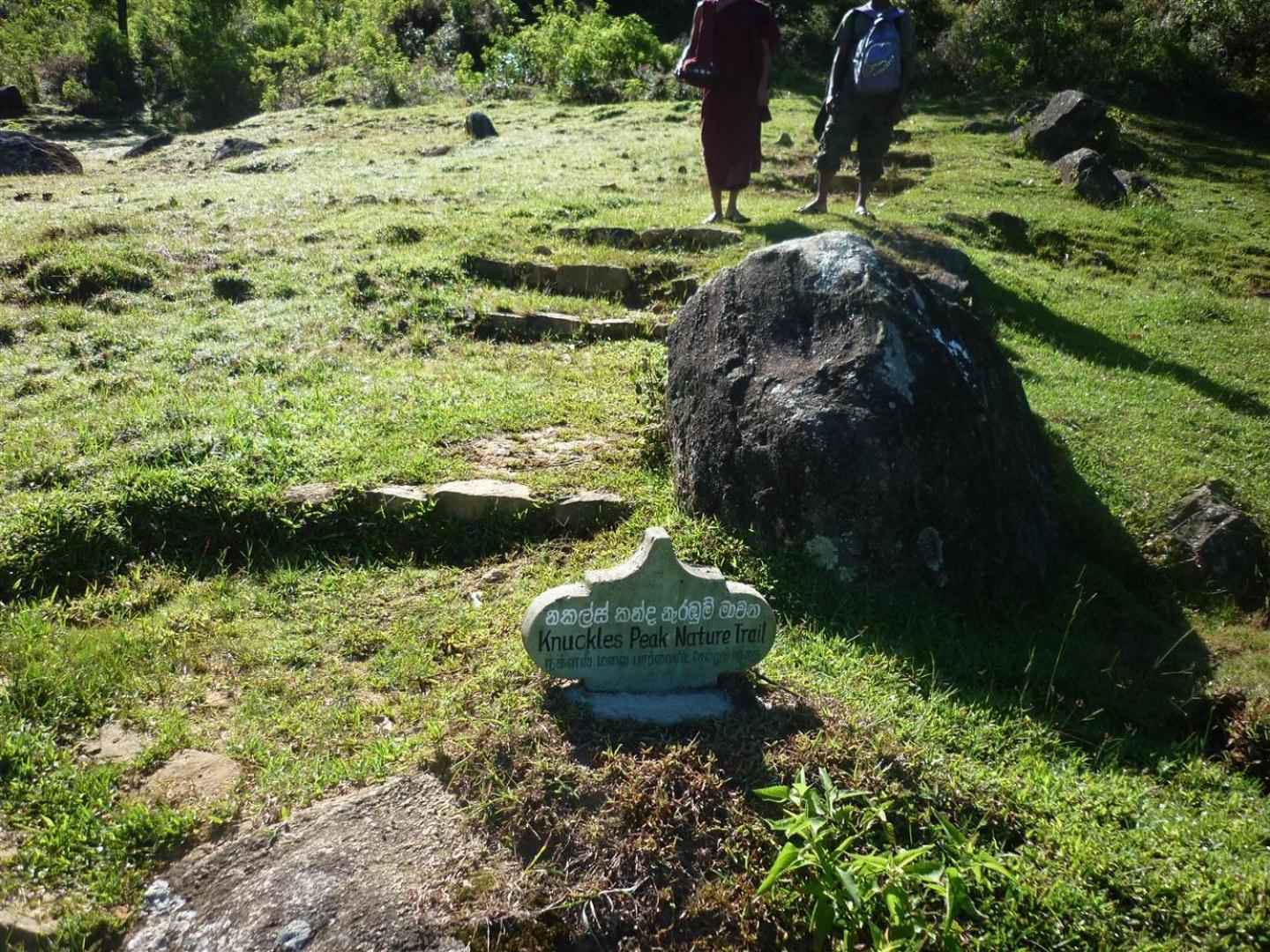 Rohana Estate Lodging & Camping Kandy Esterno foto