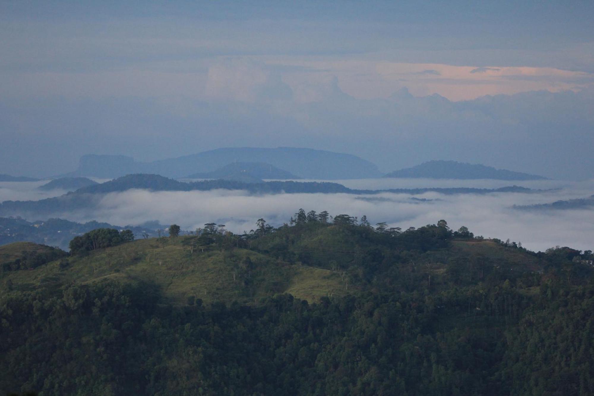 Rohana Estate Lodging & Camping Kandy Esterno foto