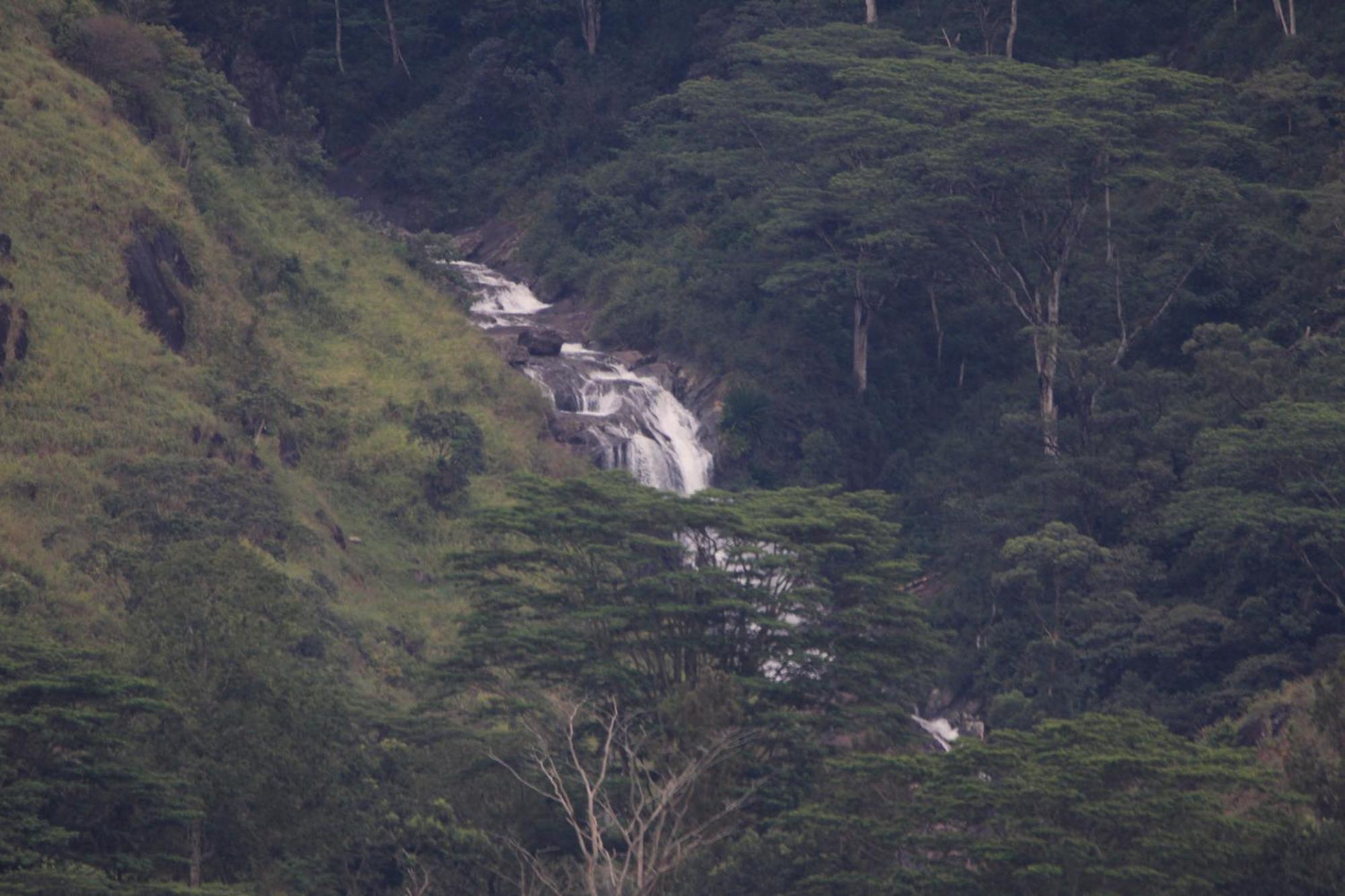 Rohana Estate Lodging & Camping Kandy Esterno foto