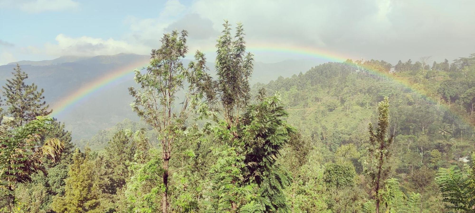 Rohana Estate Lodging & Camping Kandy Esterno foto