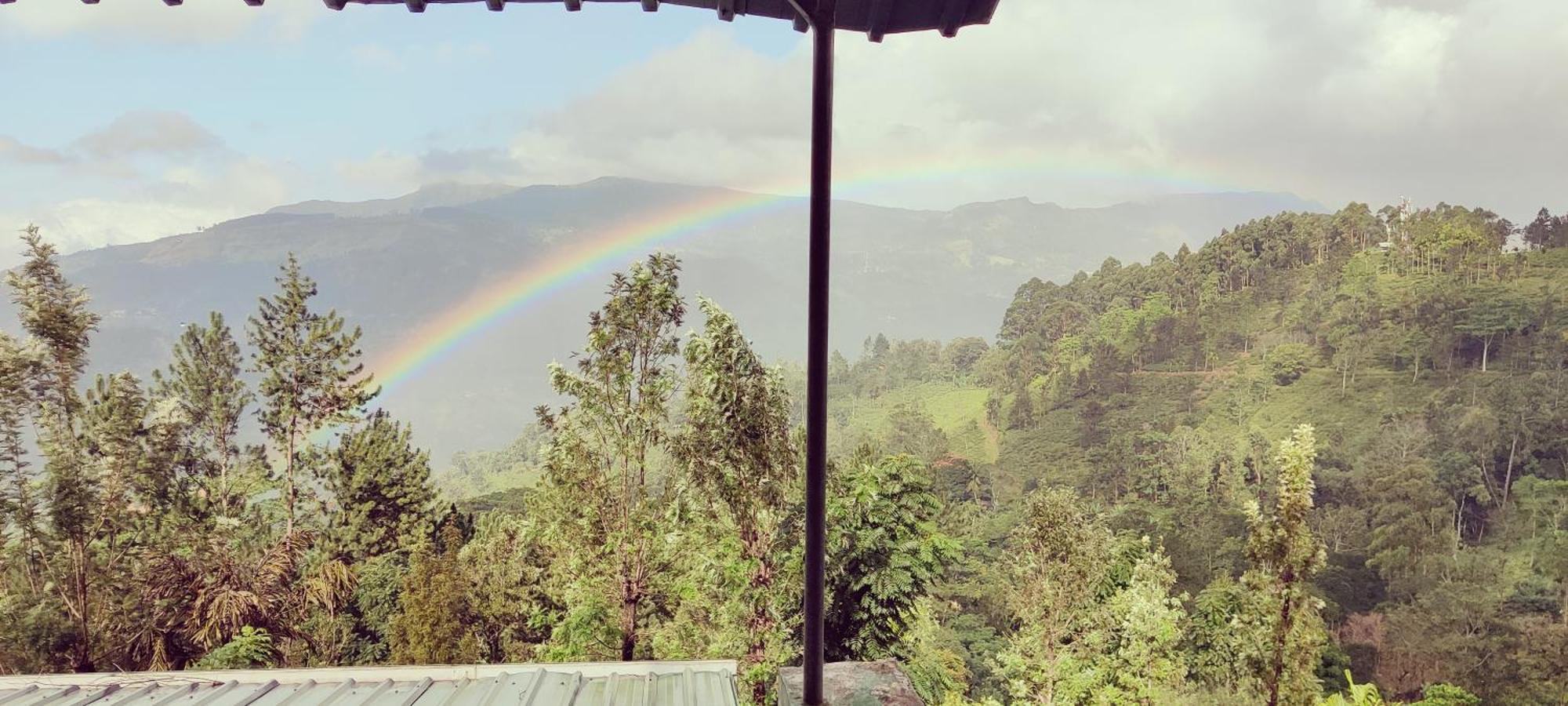 Rohana Estate Lodging & Camping Kandy Esterno foto